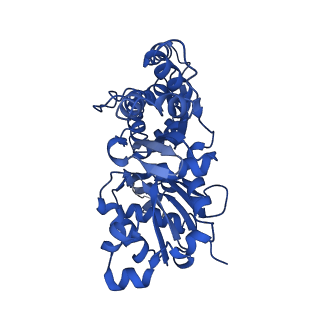 13532_7pmg_C_v1-0
Cryo-EM structure of the actomyosin-V complex in the post-rigor transition state (AppNHp, central 1er, class 3)