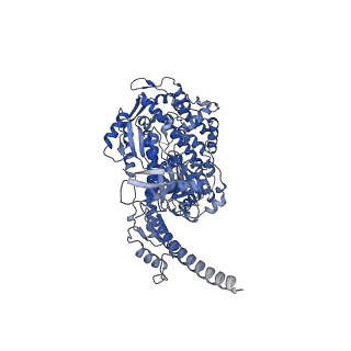 13533_7pmh_A_v1-0
Cryo-EM structure of the actomyosin-V complex in the post-rigor transition state (AppNHp, central 1er, class 4)