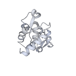 13533_7pmh_B_v1-0
Cryo-EM structure of the actomyosin-V complex in the post-rigor transition state (AppNHp, central 1er, class 4)