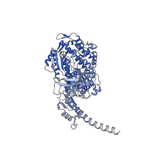 13535_7pmi_A_v1-0
Cryo-EM structure of the actomyosin-V complex in the post-rigor transition state (AppNHp, central 1er, class 5)