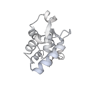 13535_7pmi_B_v1-0
Cryo-EM structure of the actomyosin-V complex in the post-rigor transition state (AppNHp, central 1er, class 5)