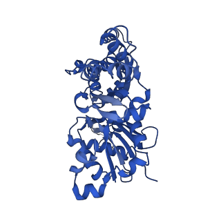 13535_7pmi_C_v1-0
Cryo-EM structure of the actomyosin-V complex in the post-rigor transition state (AppNHp, central 1er, class 5)