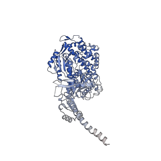 13536_7pmj_A_v1-0
Cryo-EM structure of the actomyosin-V complex in the post-rigor transition state (AppNHp, central 1er, class 6)