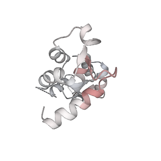 13536_7pmj_B_v1-0
Cryo-EM structure of the actomyosin-V complex in the post-rigor transition state (AppNHp, central 1er, class 6)
