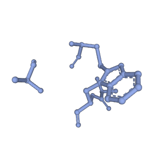 13536_7pmj_H_v1-0
Cryo-EM structure of the actomyosin-V complex in the post-rigor transition state (AppNHp, central 1er, class 6)