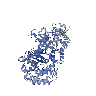 13537_7pmk_2_v1-0
S. cerevisiae replisome-SCF(Dia2) complex bound to double-stranded DNA (conformation I)