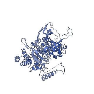 13537_7pmk_3_v1-0
S. cerevisiae replisome-SCF(Dia2) complex bound to double-stranded DNA (conformation I)