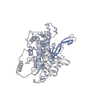 13537_7pmk_4_v1-0
S. cerevisiae replisome-SCF(Dia2) complex bound to double-stranded DNA (conformation I)