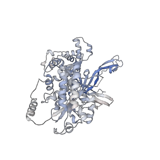 13537_7pmk_4_v2-3
S. cerevisiae replisome-SCF(Dia2) complex bound to double-stranded DNA (conformation I)