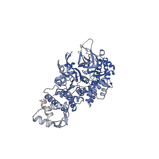 13537_7pmk_5_v1-0
S. cerevisiae replisome-SCF(Dia2) complex bound to double-stranded DNA (conformation I)