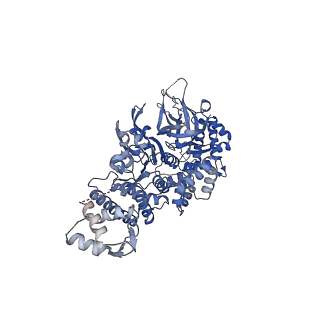 13537_7pmk_5_v2-3
S. cerevisiae replisome-SCF(Dia2) complex bound to double-stranded DNA (conformation I)