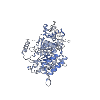 13537_7pmk_6_v1-0
S. cerevisiae replisome-SCF(Dia2) complex bound to double-stranded DNA (conformation I)