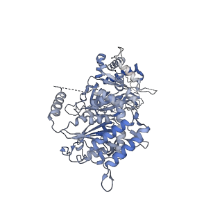 13537_7pmk_6_v2-3
S. cerevisiae replisome-SCF(Dia2) complex bound to double-stranded DNA (conformation I)