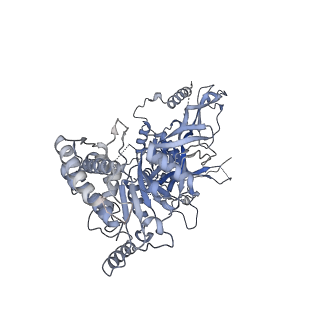 13537_7pmk_7_v1-0
S. cerevisiae replisome-SCF(Dia2) complex bound to double-stranded DNA (conformation I)