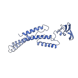 13537_7pmk_A_v1-0
S. cerevisiae replisome-SCF(Dia2) complex bound to double-stranded DNA (conformation I)