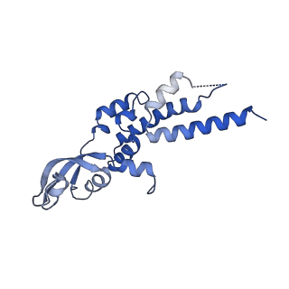 13537_7pmk_C_v1-0
S. cerevisiae replisome-SCF(Dia2) complex bound to double-stranded DNA (conformation I)