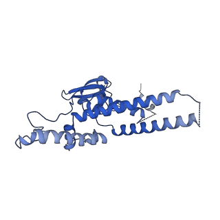 13537_7pmk_D_v1-0
S. cerevisiae replisome-SCF(Dia2) complex bound to double-stranded DNA (conformation I)