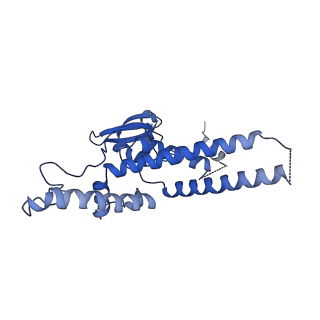13537_7pmk_D_v2-3
S. cerevisiae replisome-SCF(Dia2) complex bound to double-stranded DNA (conformation I)