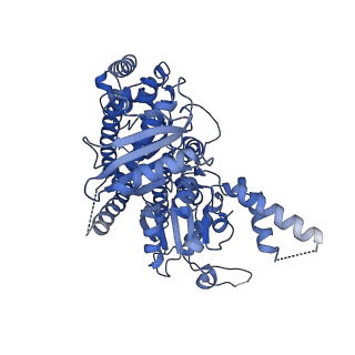 13537_7pmk_E_v1-0
S. cerevisiae replisome-SCF(Dia2) complex bound to double-stranded DNA (conformation I)