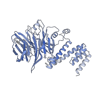 13537_7pmk_G_v1-0
S. cerevisiae replisome-SCF(Dia2) complex bound to double-stranded DNA (conformation I)