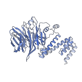 13537_7pmk_G_v2-3
S. cerevisiae replisome-SCF(Dia2) complex bound to double-stranded DNA (conformation I)
