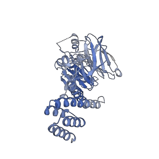 13537_7pmk_H_v1-0
S. cerevisiae replisome-SCF(Dia2) complex bound to double-stranded DNA (conformation I)