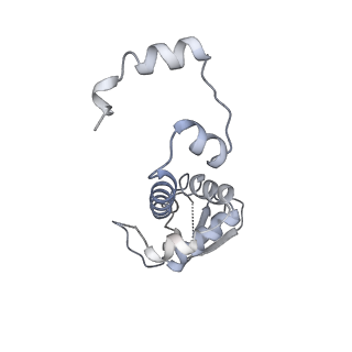 13537_7pmk_K_v1-0
S. cerevisiae replisome-SCF(Dia2) complex bound to double-stranded DNA (conformation I)