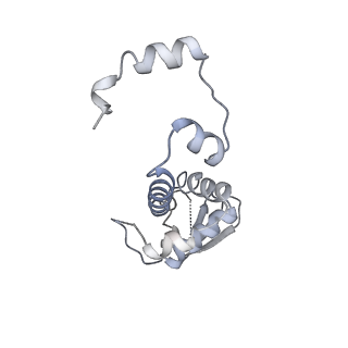 13537_7pmk_K_v2-3
S. cerevisiae replisome-SCF(Dia2) complex bound to double-stranded DNA (conformation I)