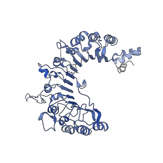 13537_7pmk_L_v1-0
S. cerevisiae replisome-SCF(Dia2) complex bound to double-stranded DNA (conformation I)