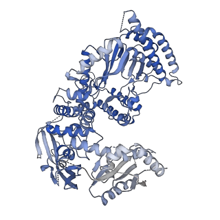 13537_7pmk_Q_v1-0
S. cerevisiae replisome-SCF(Dia2) complex bound to double-stranded DNA (conformation I)