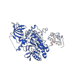 13537_7pmk_R_v1-0
S. cerevisiae replisome-SCF(Dia2) complex bound to double-stranded DNA (conformation I)