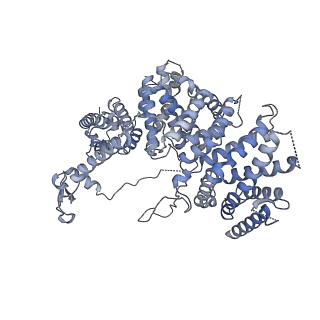 13537_7pmk_X_v1-0
S. cerevisiae replisome-SCF(Dia2) complex bound to double-stranded DNA (conformation I)