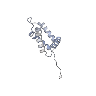13537_7pmk_Y_v1-0
S. cerevisiae replisome-SCF(Dia2) complex bound to double-stranded DNA (conformation I)