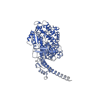 13538_7pml_A_v1-0
Cryo-EM structure of the actomyosin-V complex in the post-rigor transition state (AppNHp, central 1er, class 8)