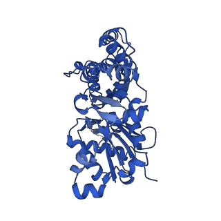 13538_7pml_C_v1-0
Cryo-EM structure of the actomyosin-V complex in the post-rigor transition state (AppNHp, central 1er, class 8)