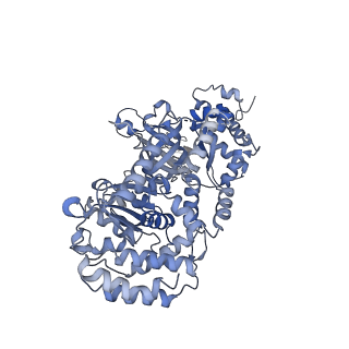 13539_7pmn_2_v1-3
S. cerevisiae replisome-SCF(Dia2) complex bound to double-stranded DNA (conformation II)