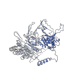 13539_7pmn_3_v1-3
S. cerevisiae replisome-SCF(Dia2) complex bound to double-stranded DNA (conformation II)