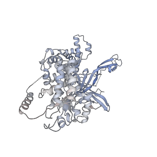 13539_7pmn_4_v1-3
S. cerevisiae replisome-SCF(Dia2) complex bound to double-stranded DNA (conformation II)