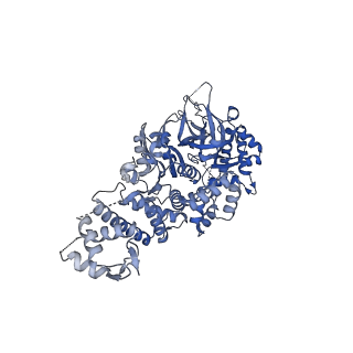 13539_7pmn_5_v1-3
S. cerevisiae replisome-SCF(Dia2) complex bound to double-stranded DNA (conformation II)
