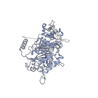 13539_7pmn_6_v1-3
S. cerevisiae replisome-SCF(Dia2) complex bound to double-stranded DNA (conformation II)