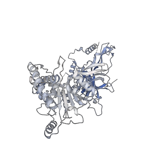 13539_7pmn_7_v1-3
S. cerevisiae replisome-SCF(Dia2) complex bound to double-stranded DNA (conformation II)