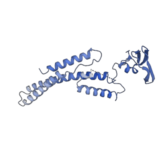 13539_7pmn_A_v1-3
S. cerevisiae replisome-SCF(Dia2) complex bound to double-stranded DNA (conformation II)