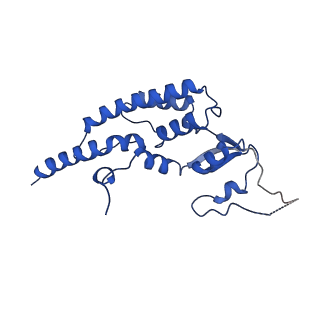 13539_7pmn_B_v1-3
S. cerevisiae replisome-SCF(Dia2) complex bound to double-stranded DNA (conformation II)