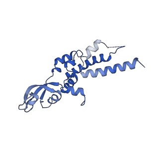 13539_7pmn_C_v1-3
S. cerevisiae replisome-SCF(Dia2) complex bound to double-stranded DNA (conformation II)