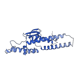 13539_7pmn_D_v1-3
S. cerevisiae replisome-SCF(Dia2) complex bound to double-stranded DNA (conformation II)
