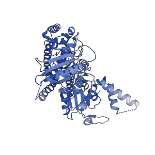 13539_7pmn_E_v1-3
S. cerevisiae replisome-SCF(Dia2) complex bound to double-stranded DNA (conformation II)