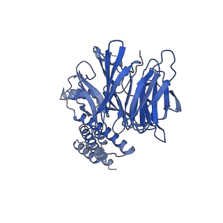 13539_7pmn_F_v1-3
S. cerevisiae replisome-SCF(Dia2) complex bound to double-stranded DNA (conformation II)