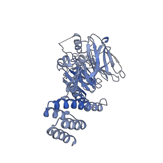 13539_7pmn_H_v1-3
S. cerevisiae replisome-SCF(Dia2) complex bound to double-stranded DNA (conformation II)