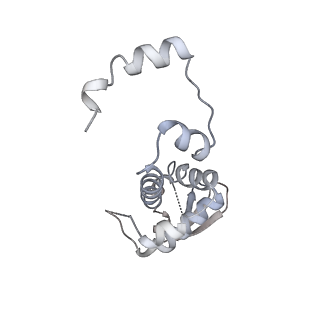 13539_7pmn_K_v1-3
S. cerevisiae replisome-SCF(Dia2) complex bound to double-stranded DNA (conformation II)