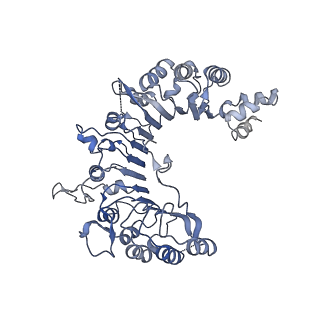 13539_7pmn_L_v1-3
S. cerevisiae replisome-SCF(Dia2) complex bound to double-stranded DNA (conformation II)
